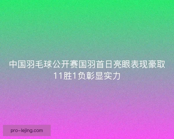 中国羽毛球公开赛国羽首日亮眼表现豪取11胜1负彰显实力